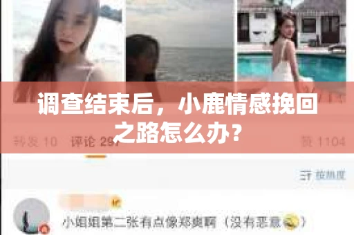 调查结束后，小鹿情感挽回之路怎么办？