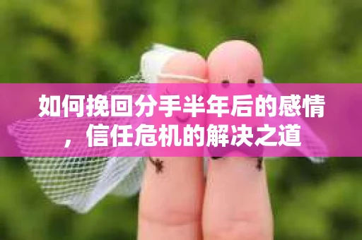 如何挽回分手半年后的感情，信任危机的解决之道