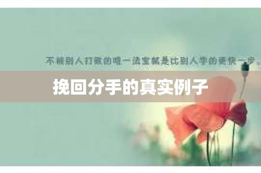 挽回分手的真实例子