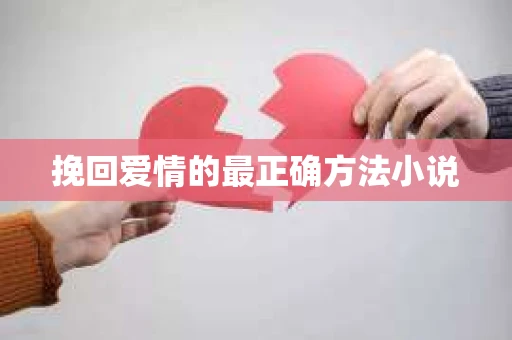 挽回爱情的最正确方法小说