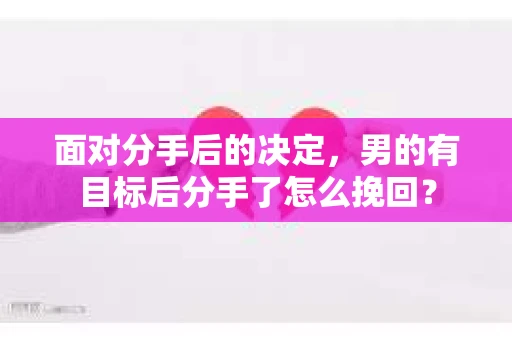 面对分手后的决定，男的有目标后分手了怎么挽回？