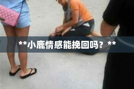 **小鹿情感能挽回吗？**