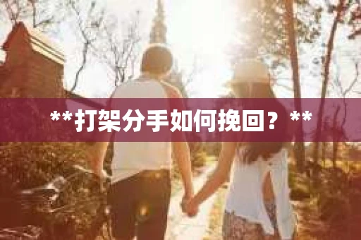 **打架分手如何挽回？**