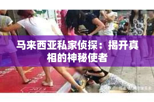 马来西亚私家侦探：揭开真相的神秘使者
