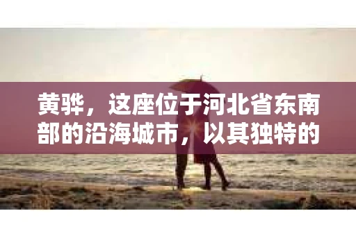 黄骅，这座位于河北省东南部的沿海城市，以其独特的地理位置和丰富的历史文化而闻名。然而，在这座城市中，还有一群人，他们以另一种方式默默守护着社会的公平与正义——私家侦探。今天，我们就来聊聊黄骅的私家侦探，看看他们是如何在这个城市中发挥作用的。