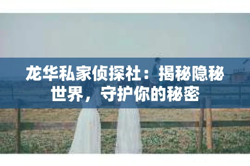 龙华私家侦探社：揭秘隐秘世界，守护你的秘密