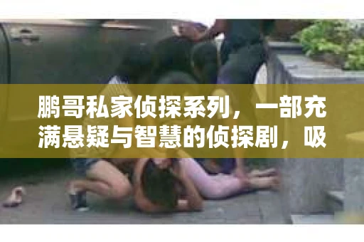 鹏哥私家侦探系列，一部充满悬疑与智慧的侦探剧，吸引了无数观众的眼球。今天，就让我带你走进这个充满神秘色彩的侦探世界，一起在线观看鹏哥私家侦探系列，感受那扣人心弦的故事情节。