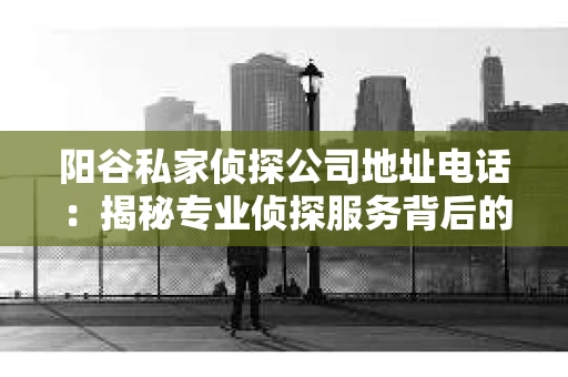 阳谷私家侦探公司地址电话：揭秘专业侦探服务背后的故事