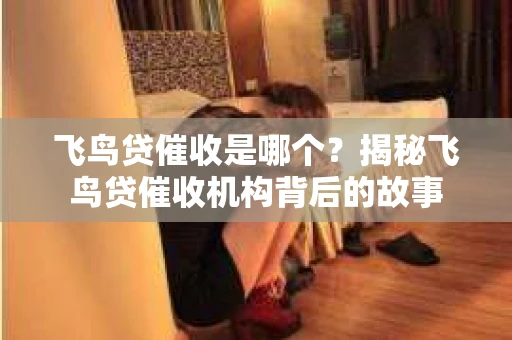 飞鸟贷催收是哪个？揭秘飞鸟贷催收机构背后的故事