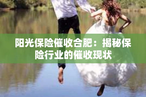 阳光保险催收合肥：揭秘保险行业的催收现状
