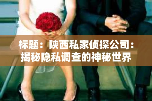 标题：陕西私家侦探公司：揭秘隐私调查的神秘世界