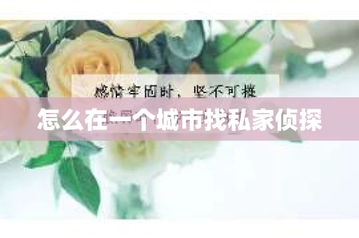 怎么在一个城市找私家侦探