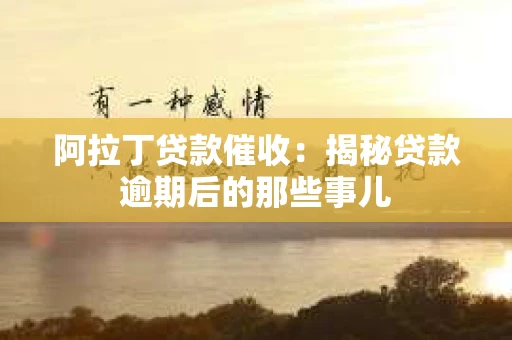 阿拉丁贷款催收：揭秘贷款逾期后的那些事儿