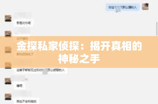 金探私家侦探：揭开真相的神秘之手