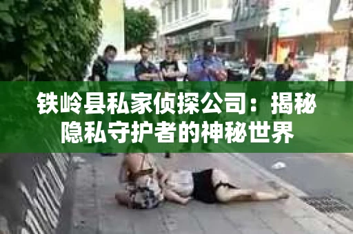 铁岭县私家侦探公司：揭秘隐私守护者的神秘世界