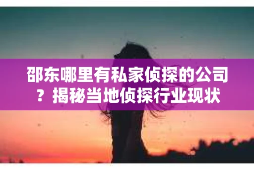 邵东哪里有私家侦探的公司？揭秘当地侦探行业现状
