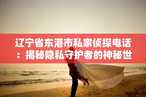 辽宁省东港市私家侦探电话：揭秘隐私守护者的神秘世界