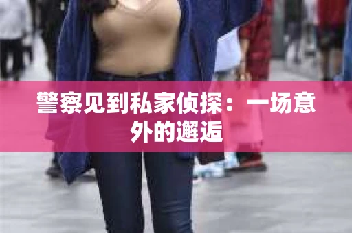 警察见到私家侦探：一场意外的邂逅