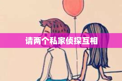 请两个私家侦探互相