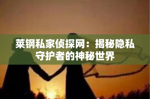 莱钢私家侦探网：揭秘隐私守护者的神秘世界