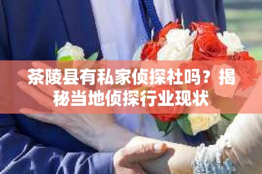茶陵县有私家侦探社吗？揭秘当地侦探行业现状