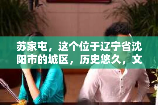 苏家屯，这个位于辽宁省沈阳市的城区，历史悠久，文化底蕴深厚。近年来，随着社会的发展，人们对于私家侦探的需求也逐渐增加。那么，苏家屯有私家侦探吗？今天，我们就来聊聊这个话题。