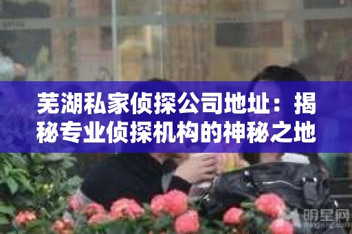 芜湖私家侦探公司地址：揭秘专业侦探机构的神秘之地
