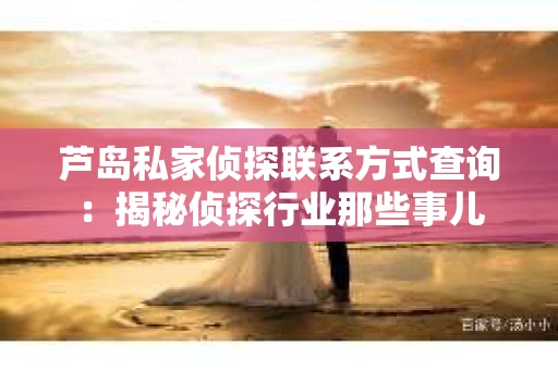 芦岛私家侦探联系方式查询：揭秘侦探行业那些事儿