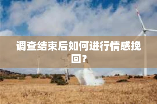 调查结束后如何进行情感挽回？