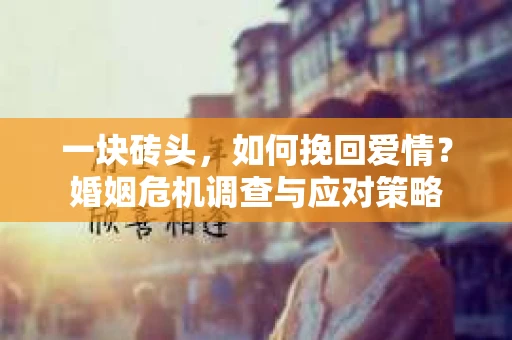 一块砖头，如何挽回爱情？婚姻危机调查与应对策略