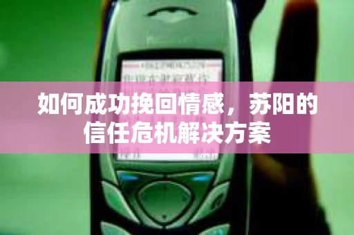 如何成功挽回情感，苏阳的信任危机解决方案
