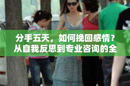 分手五天，如何挽回感情？从自我反思到专业咨询的全面解决方案