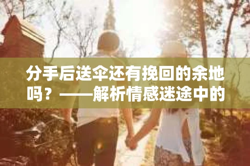 分手后送伞还有挽回的余地吗？——解析情感迷途中的决策