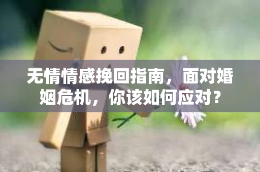 无情情感挽回指南，面对婚姻危机，你该如何应对？