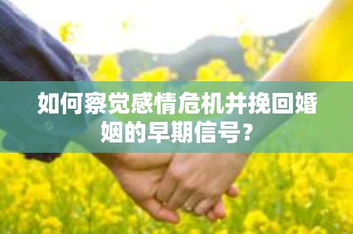 如何察觉感情危机并挽回婚姻的早期信号？
