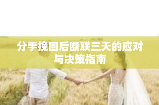 分手挽回后断联三天的应对与决策指南
