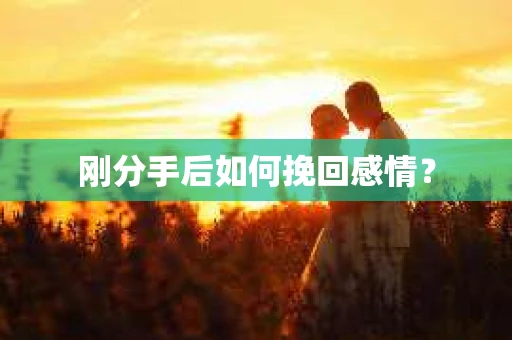 刚分手后如何挽回感情？